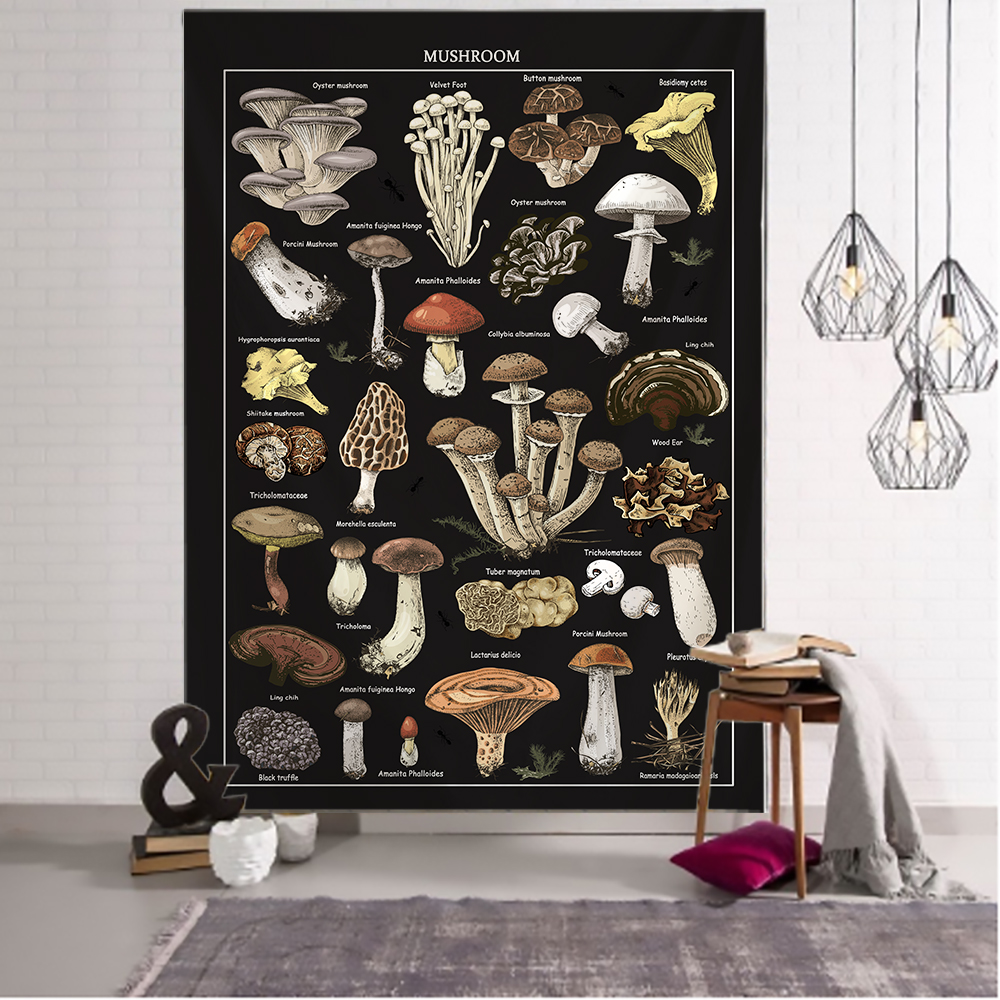 Czarny grzyb przykładowy obraz – Home Decor Examples recenzja i cena