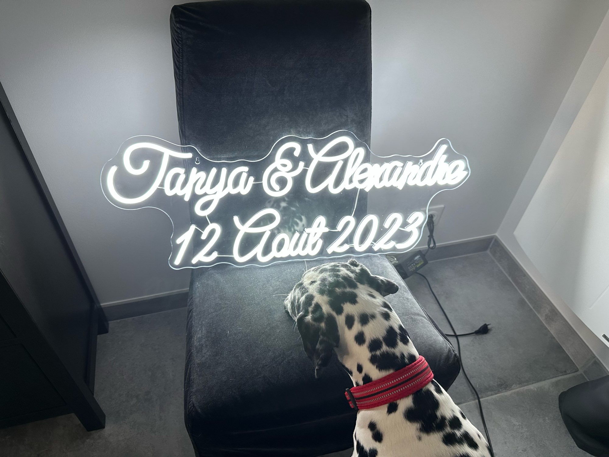 Niestandardowy neon LED Neon L – Home Decor Logo Design recenzja i cena